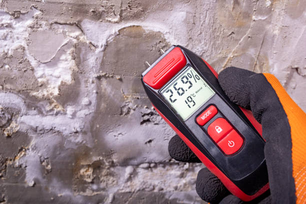 Reliable Perkasie, PA Mold Removal Solutions
