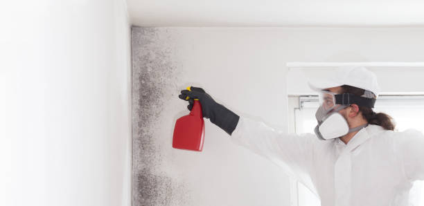 Water Damage Restoration in Perkasie, PA